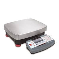 Bench Scales