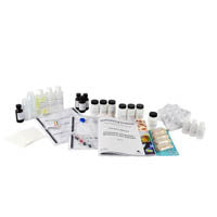 Consumer Chemistry