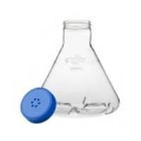 Fernbach Flasks