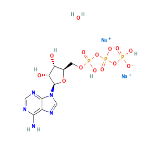 Nucleosides & Nucleotides