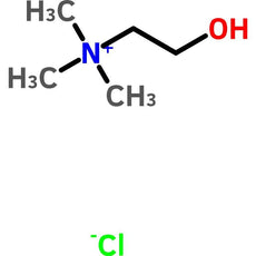 Choline Chloride, FCC