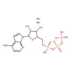 Aladdin Adenosine 5ʹ-Triphosphate, Disodium Salt (ATP)
