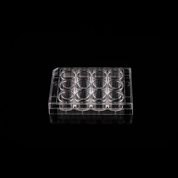 PCR Plates