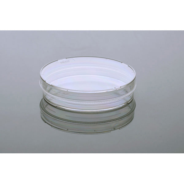 Petri & Culture Dishes