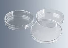 VWR International DISH PETRI 100x10MM Glass Comp. Set - D4370-2