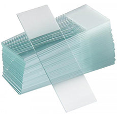 C & A Scientific SlideS  FROSTED Beveled  72/PK - M6332