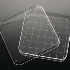 VWR International DISH PETRI 100x100x15mm SUARE PS 10/PK - D4375