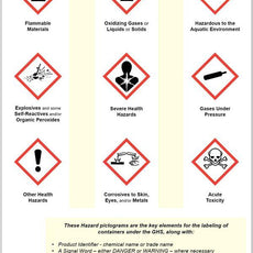 Ghs Poster  -IS2980