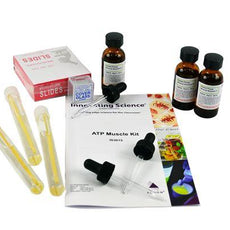 Atp Muscle Kit  -IS3015