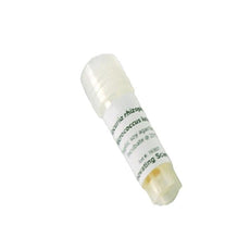 Micrococcus Luteus Freeze Dried Culture W/O Transfer Media -IS3803