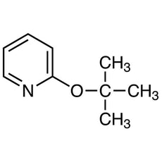 2-tert-Butoxypyridine, 5G - B5575-5G