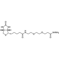 Biotin-PEG2-Hydrazide, 10MG - B5577-10MG