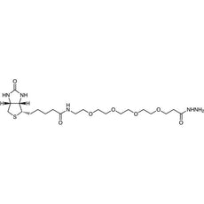 Biotin-PEG4-Hydrazide, 10MG - B5578-10MG