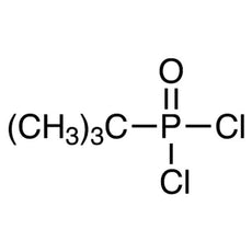 tert-Butylphosphonic Dichloride, 1G - B5729-1G