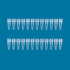 Brandtech PCR Tube Strips, Strips of 12. Clear, pack of 125 - 781280