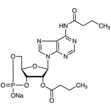 Bucladesine Sodium Salt, 25MG - D4228-25MG