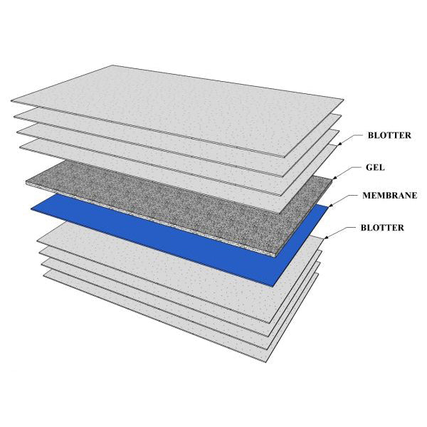 Blotter Papers