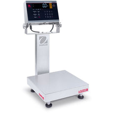 Bench Scale i-D61XWE12WQR6 - 30631719
