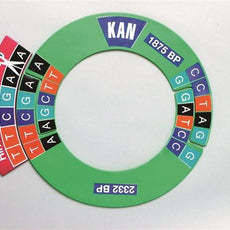Dna Manipulatives Kit - DNAKIT