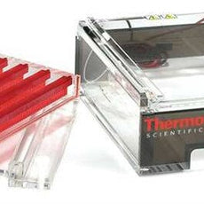 Thermo Scientific CENTIPEDE EXTRAWide MINIGEL - D3-14