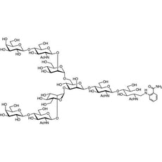 G2 2AB(500pmol/vial), 1VIAL - G0493-1VIAL