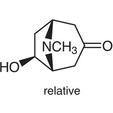 (+/-)-exo-6-Hydroxytropinone, 1G - H1289-1G