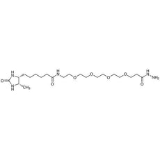 Hydrazide-PEG4-Desthiobiotin, 25MG - H1667-25MG