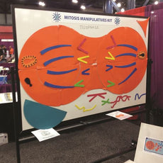Mitosis Manipulatives Kit - MITKIT2