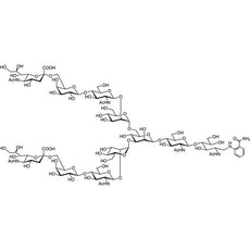Neu5Ac alpha(2-6) N-Glycan 2AB(500pmol/vial), 1VIAL - N1073-1VIAL