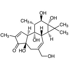 Phorbol, 5MG - P2732-5MG