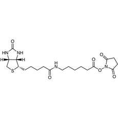 N-Succinimidyl 6-Biotinamidohexanoate, 20MG - S0490-20MG