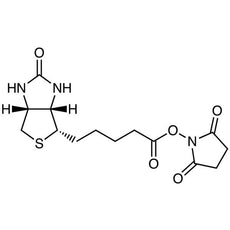 N-Succinimidyl D-Biotinate, 100MG - S0491-100MG