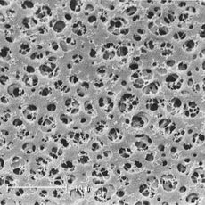 Sartorius CA Membrane_ 0.2um_ 30mm_ 100Pk - 11107-30-N