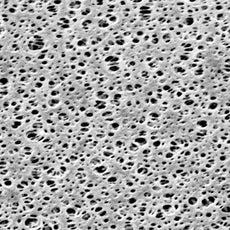 Sartorius PESMembran_0.1um_50mm_100pc - 15458-50-N
