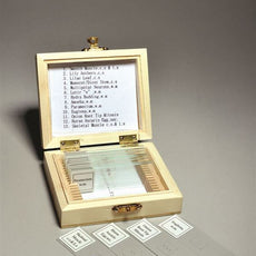 Biology Prepared Slide Set, 13 Slides - SLD013