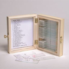 Basic Prepared Slide Set, 25 Slides - SLD025-SET/25