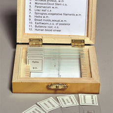 Biology Prepared Slide Set, 12 Slides - SLD200-SET/12