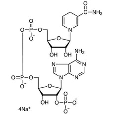 beta-Nicotinamide Adenine Dinucleotide Phosphate Tetrasodium Saltreduced form[for Biochemical Research], 100MG - T0521-100MG