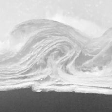 MultiDensity™   Disk, 1.0micron final retention, 4.7cm dia, 10 per pack - MD-100-3006